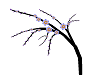 [Right] 3-D Branch