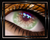!T! Eyes | Nixie 10