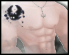 !皮膚muscle skin