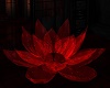(Gt)Red Lotus