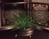 Elegant Plant Vase