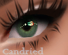 Beautiful Green Eyes