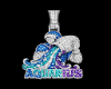 AQUARIUS