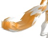 foxy tail