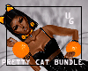 PRETTY CAT BUNDLE *UG