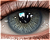 Eyes | Sage Green