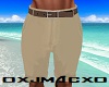 [J] Classy Tan Shorts