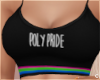 !© Poly Pride