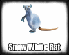 QSJ-Snow White Rat