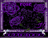 purple rose particles
