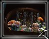 ~Z~Stairway Fish Tank