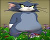 Tom Avatar Cat Standing in Spring Flowers an Grass