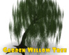 *Garden Willow Tree