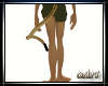 Lion tail