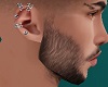 Ear Piercings Silver