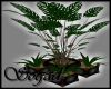 [S]Sunset Potted Plants