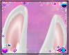 Blanc | Bunny ears