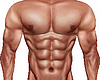 Shape Torso "Flex"
