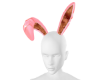 Bunny Ears Set V1