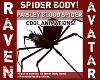 PAISLEY BLOOD SPIDER!