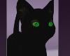 ! Black CAT Pet Halloween Costumes Scary Green Eyes MOVES