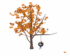 Autumn Tree & Swing