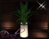 Q Escape Potted Plant