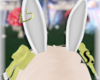 Yellow Bunny Ears 