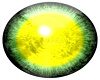 F-Yellow/Green Eyes