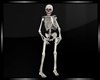 }CB{ Skeleton 