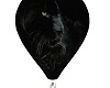 blackcat hotair balloon