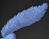 !Furry Tails-Lt Blue