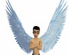 Frozen angel wings