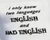 2 Languages T-Shirt
