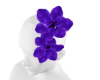 Flower Head Purpura