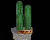Cactus Radio