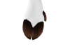 Deer Paws