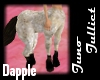 Male Centaur Dapple