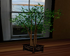 Bamboo Tree 2