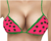 WaterMellon Bikini