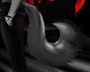 Midnight Tail