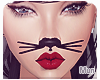Mun | Kitty Mustache '