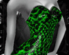 green snake reflect dr