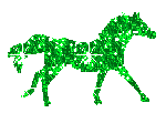 horse/glitter