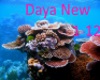 Daya - New
