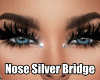 sw Nose Silver Bridge