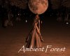 AV Ambient Forest