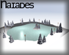 N| Natural Ice Rink