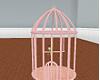 pink Bird Cage
