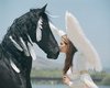 NoFrame Angel/Horse Kiss